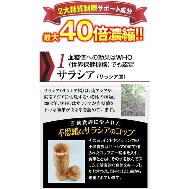 残り1点！　最大40倍濃縮！糖質プレミアムダイエットサプリ※100粒約3ヶ月 コスメ/美容のダイエット(ダイエット食品)の商品写真