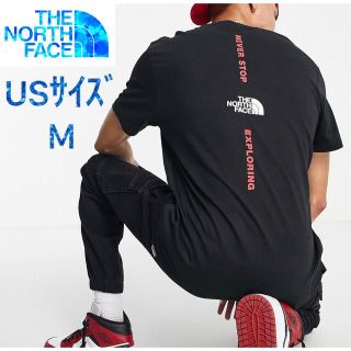 ザノースフェイス(THE NORTH FACE)の【海外限定】TNF メンズ　ブラック  US/Mサイズ　日本サイズL(Tシャツ/カットソー(半袖/袖なし))