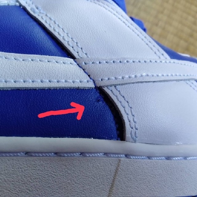 NIKE(ナイキ)のNIKE DUNK LOW RETRO Racer Blue and White メンズの靴/シューズ(スニーカー)の商品写真