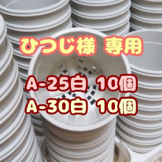 プラ鉢3号鉢【A-30】10個 他 スリット鉢 丸 プレステラ 多肉植物(プランター)