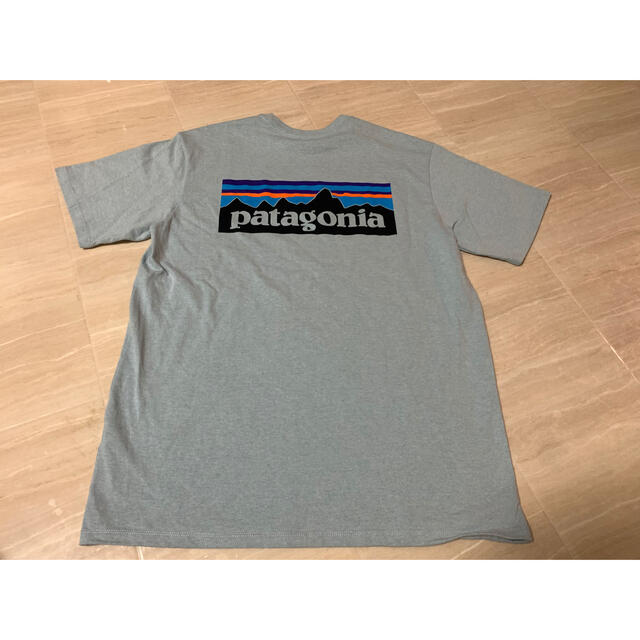 patagonia(パタゴニア)のみちさん専用　パタゴニア　メンズS Tシャツ メンズのトップス(Tシャツ/カットソー(半袖/袖なし))の商品写真