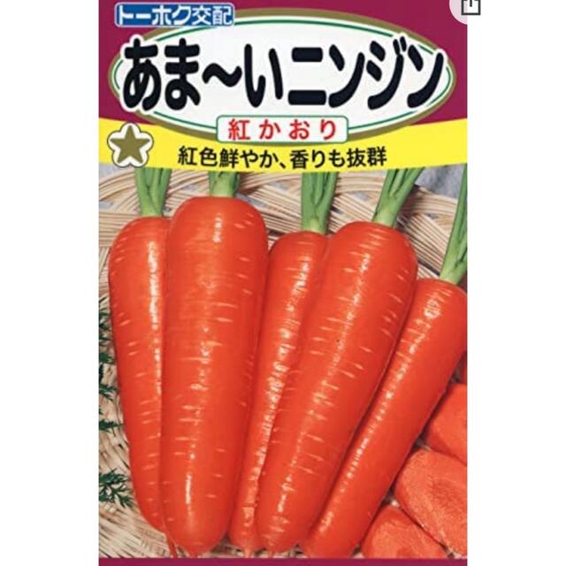 プランター栽培、家庭菜園、野菜の種３種セット 食品/飲料/酒の食品(野菜)の商品写真