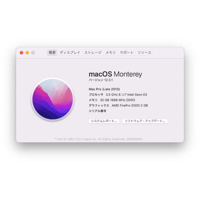 Mac Pro 2013 6コア3.5GHz メモリ32GB SSD 256GB - デスクトップ型PC