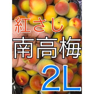 r0101  完熟　紅さし南高梅　1kg 2Lサイズ キルトパッチ梅店(フルーツ)