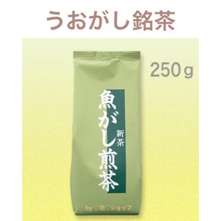 うおがし銘茶　新茶　魚がし煎茶　250ｇ／大人気　美味しい　ロングセラー商品(茶)