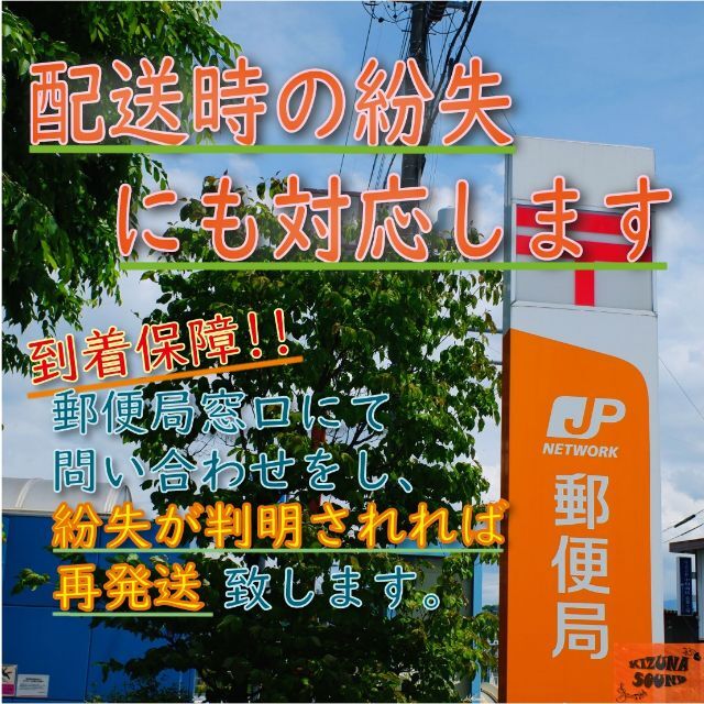 エレキギター用 2弦 （011） お得な3本セット ばら売り 個別包装 予備 楽器のギター(エレキギター)の商品写真