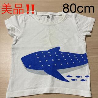ニシマツヤ(西松屋)のA-50☆美品‼️♡80cm☆可愛いジンベイザメTシャツ(Ｔシャツ)
