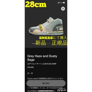 ナイキ(NIKE)の☆最終価格☆ナイキ エア トレーナー 1 x カクタス ジャック(スニーカー)