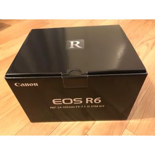 キヤノン(Canon)の【ひな様専用】キャノン EOS R6 レンズキット(ミラーレス一眼)