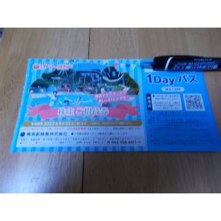９月２５日迄　東京サマーランド　株主優待券１枚(遊園地/テーマパーク)