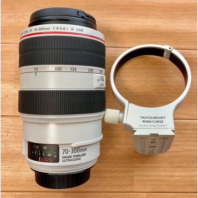 CANON EF 70-300mm F4-5.6L IS USM