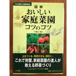 ショウガクカン(小学館)の【古本】図解おいしい家庭菜園コツのコツ★小宮山洋夫★小学館(趣味/スポーツ/実用)