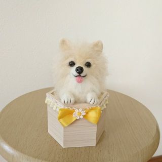 羊毛フェルト ポメラニアン ☆ インテリアBOX | www.hipool.com.br 羊毛フェルト ポメラニアン ☆ インテリアBOX | www.hipool.com.br