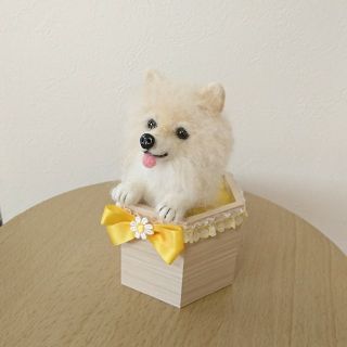羊毛フェルト ポメラニアン ☆ インテリアBOX | www.hipool.com.br 羊毛フェルト ポメラニアン ☆ インテリアBOX | www.hipool.com.br