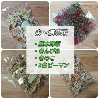 【ま～様専用】乾燥野菜ミックス(野菜)