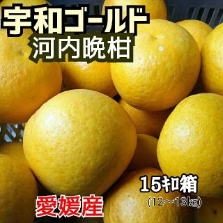 【今季最終】愛媛産☆河内晩柑(宇和ゴールド)☆家庭用 15ｷﾛ箱(12～13㎏)(フルーツ)
