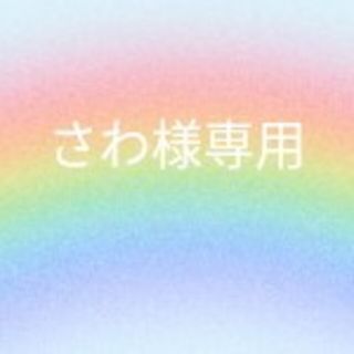さわ様専用(その他)