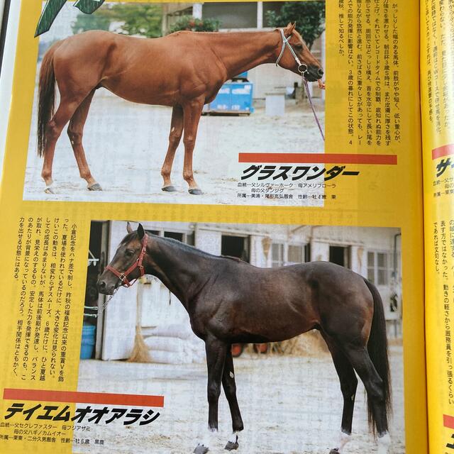 【売れ筋】 週刊ギャロップ1998年10月11日号 趣味