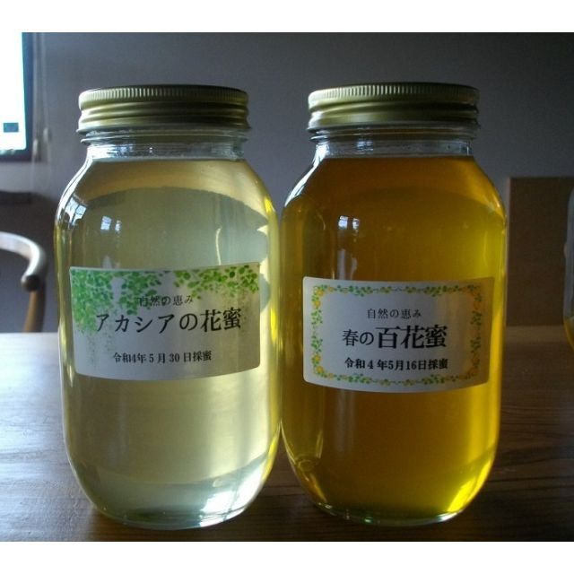 国産 アカシア蜂蜜×春の百花蜜 自家飼育、生はちみつ(非加熱 国産 アカシア蜂蜜×春の百花蜜 自家飼育、生はちみつ(非加熱
