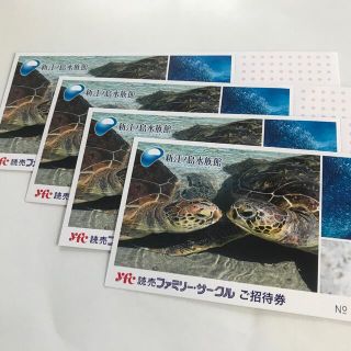 新江ノ島水族館　招待券　4枚セット(水族館)