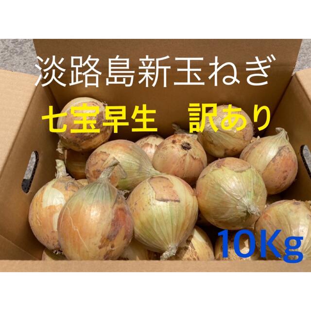 ★訳あり10Kg★淡路島新玉ねぎ　たまねぎ　玉葱 食品/飲料/酒の食品(野菜)の商品写真