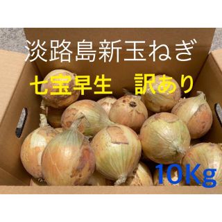 ★訳あり10Kg★淡路島新玉ねぎ　たまねぎ　玉葱(野菜)