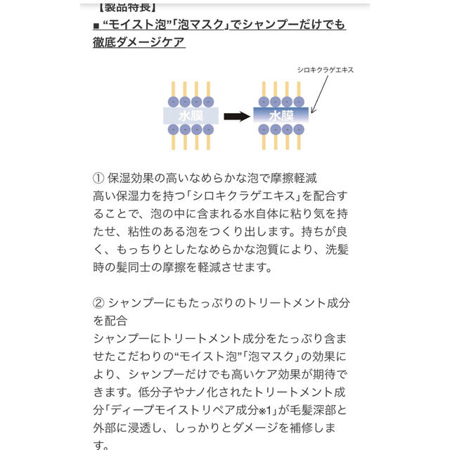 Moltobene(モルトベーネ)の【新品・送料込】ディープレイヤー  シャンプー & トリートメント コスメ/美容のヘアケア/スタイリング(シャンプー)の商品写真