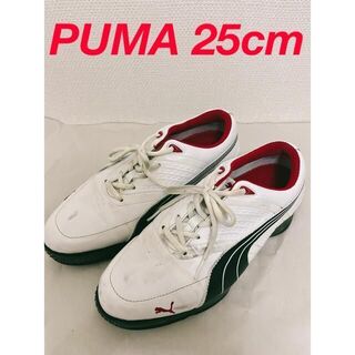 PUMA - PUMA プーマ ゴルフシューズ 25cm