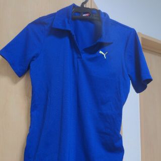 プーマ(PUMA)のプーマ　スポーツウエア　M　青　レディース(Tシャツ(半袖/袖なし))