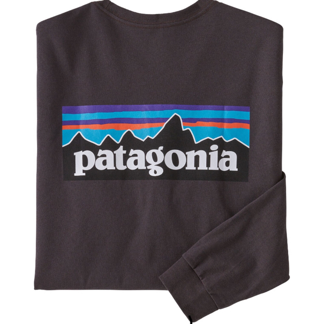 パタゴニア ロンT ブラウン Lサイズ　Patagonia