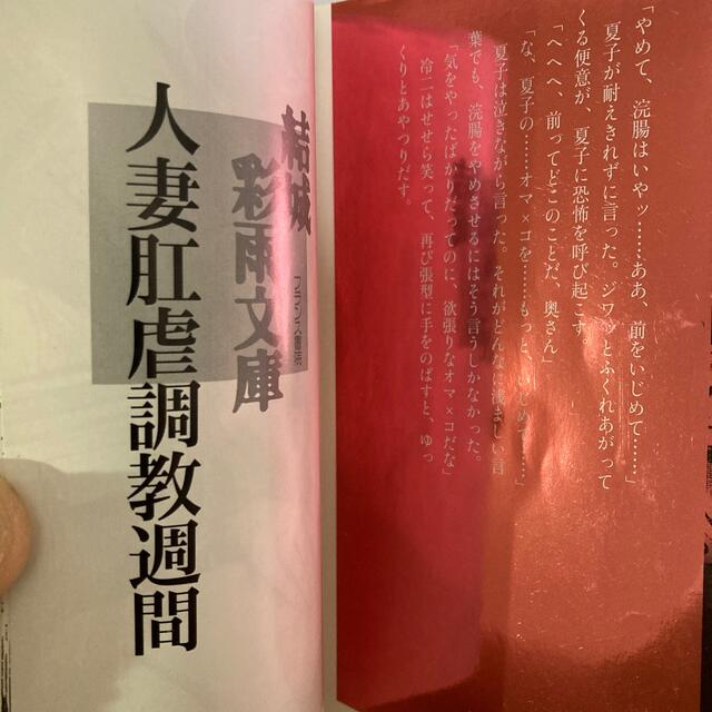 官能小説 結城彩雨文庫 傑作6冊出品しますの通販 by atagoya's shop