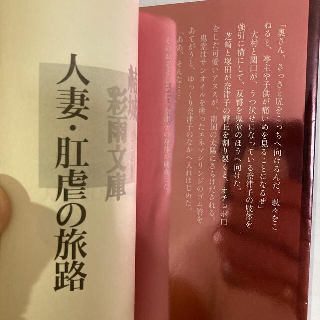 官能小説 結城彩雨文庫 傑作6冊出品しますの通販 by atagoya's shop