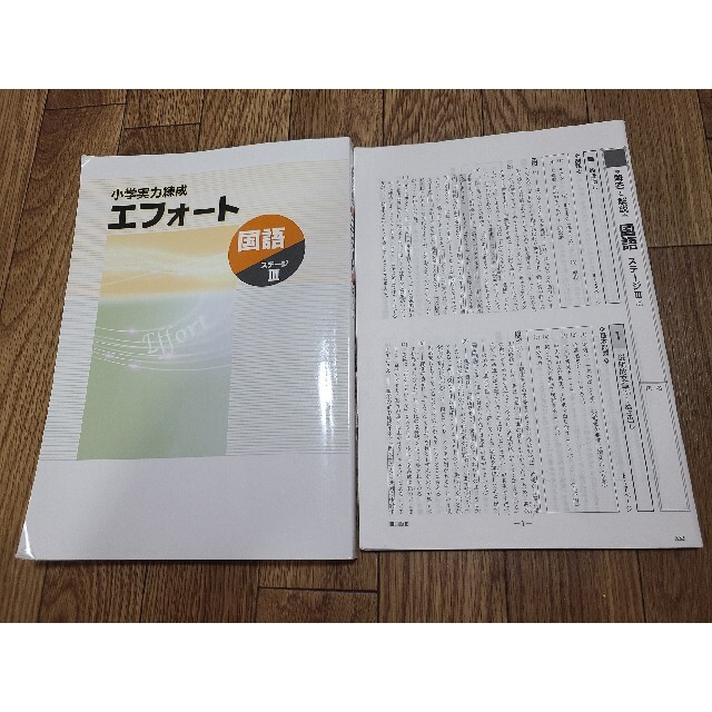 小学実力練成エフォート国語ステージ3 エンタメ/ホビーの本(語学/参考書)の商品写真