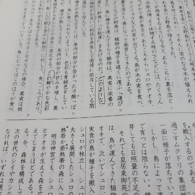小学実力練成エフォート国語ステージ3 エンタメ/ホビーの本(語学/参考書)の商品写真