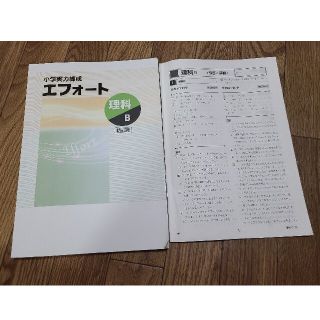 小学実力練成エフォート　理科Ｂ(語学/参考書)