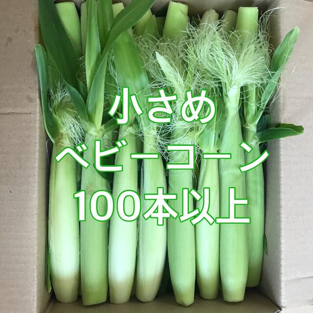 ベビーコーン　6月3日収穫分　【80サイズ】 食品/飲料/酒の食品(野菜)の商品写真