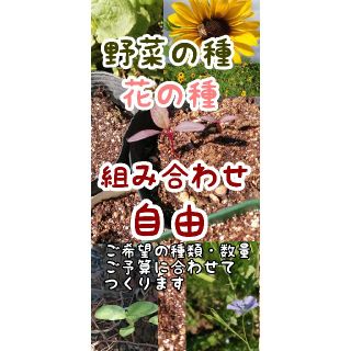 【自然農・自家採種あり】野菜の種　花の種　いろいろ　セットにします✿(その他)