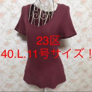 ニジュウサンク(23区)の★23区★極美品★大きいサイズ！半袖カットソー40(L.11号)(カットソー(半袖/袖なし))