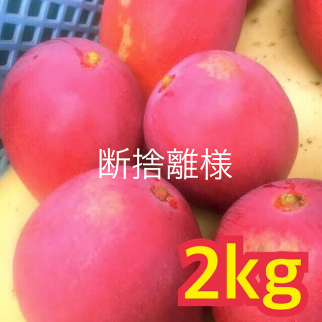 宮崎県産 完熟マンゴー 4kg ばら チルド-