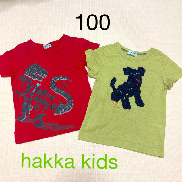 hakka kids(ハッカキッズ)のhakka kids ハッカキッズ　半袖Tシャツ　２枚セット キッズ/ベビー/マタニティのキッズ服男の子用(90cm~)(Tシャツ/カットソー)の商品写真