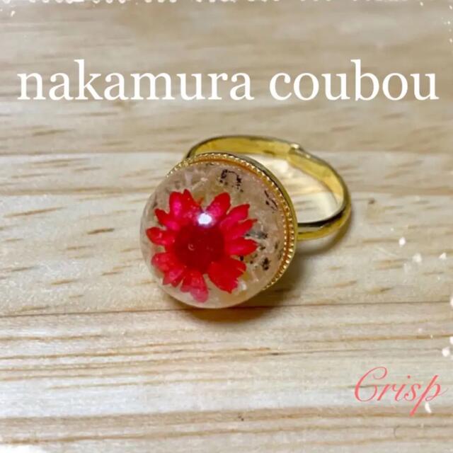 Crisp(クリスプ)のnakamura coubou ドライフラワー　樹脂リング　ナカムラコウボウ レディースのアクセサリー(リング(指輪))の商品写真