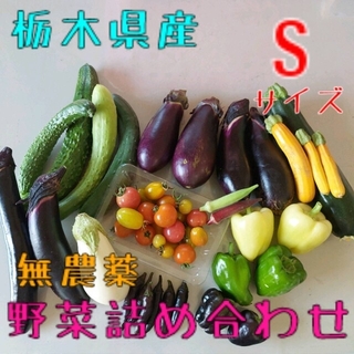 野菜おまかせ詰め合わせBOX【S】(野菜)