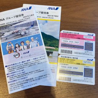 エーエヌエー(ゼンニッポンクウユ)(ANA(全日本空輸))のANA株主優待2枚＋冊子2冊セット(その他)