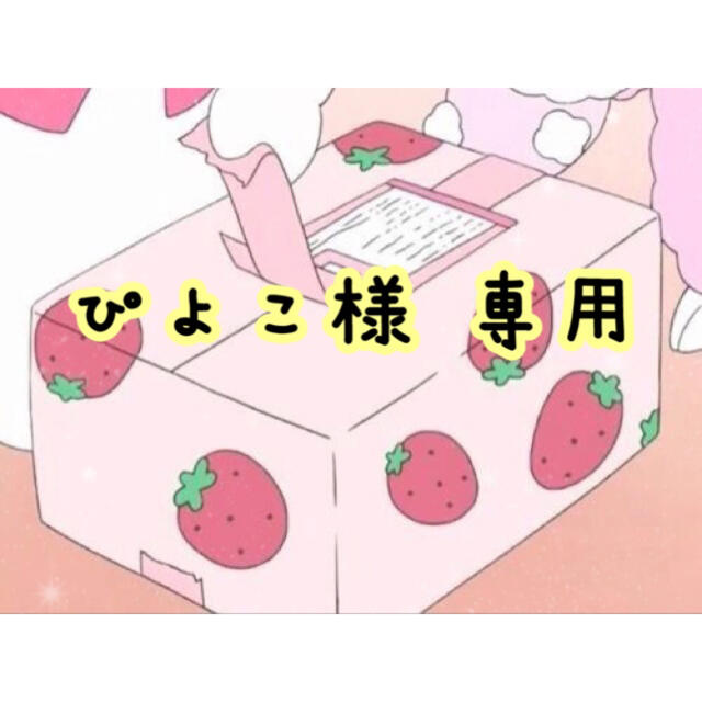 ぴよこ様 専用* 限定版 10270円 alarmstat.com