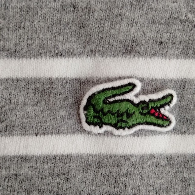 LACOSTE(ラコステ)のLACOSTE　ラコステ　レディース　ボーダー レディースのトップス(カットソー(長袖/七分))の商品写真