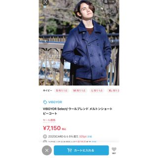 ビブジョー ジャケット/アウター(メンズ)の通販 30点 | VIBGYORの
