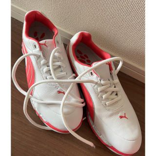 プーマ(PUMA)のプーマ　ゴルフシューズ　新品(シューズ)