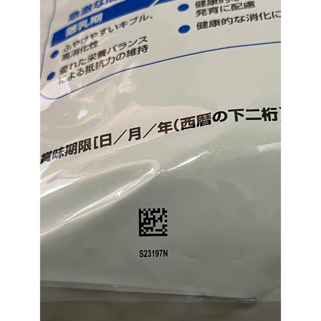 ROYAL CANIN(ロイヤルカナン)のロイヤルカナン　ねこ  インドア 10kg その他のペット用品(ペットフード)の商品写真