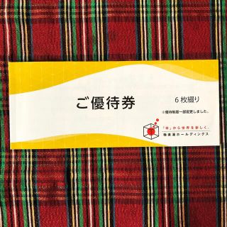 極楽湯 株主優待券 6枚綴り(その他)