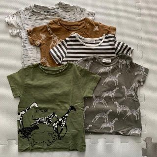 ネクスト(NEXT)のNEXT動物柄半袖Tシャツ5枚セット サイズ70〜80(Ｔシャツ)